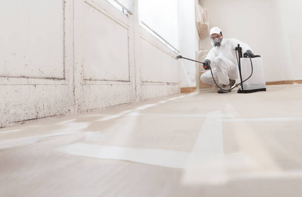 24/7 Emergency Black Mold Remediation experts in Franklin, PA